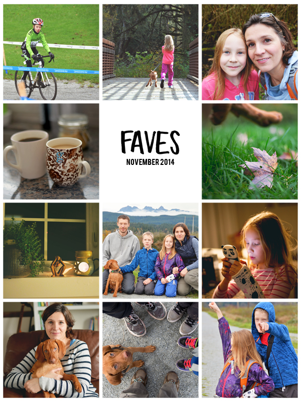 paislee-faves- november 2014 copy